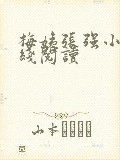 梅姨张强小说在线阅读