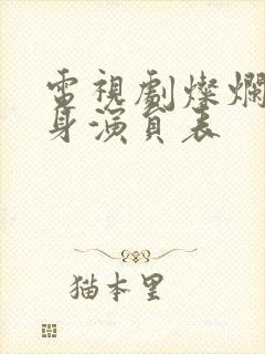 电视剧灿烂的转身演员表