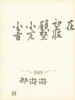 小小愿望在线观看完整版