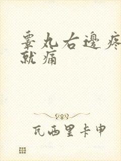 睾丸右边疼一碰就痛