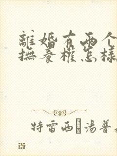 离婚有两个小孩抚养权怎样判定