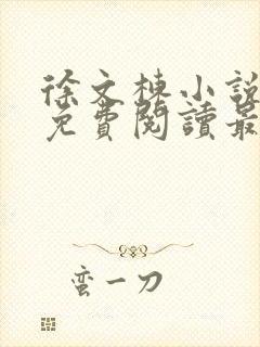 徐文栋小说全文免费阅读最新章节封面