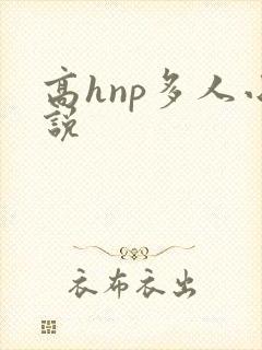 高hnp多人小说
