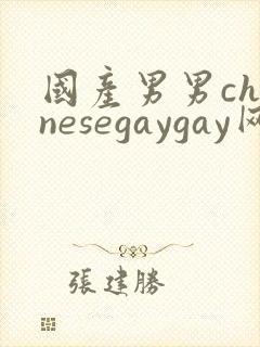 国产男男chinesegaygay网站封面