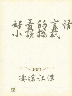 好看的言情甜宠小说总裁