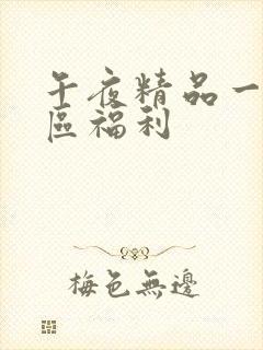 午夜精品一区二区福利封面