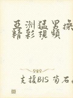 亚洲猛男操熟女精彩视频