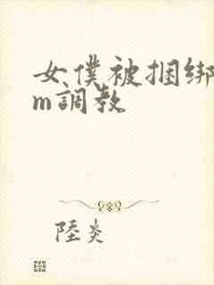 女仆被捆绑着sm调教封面