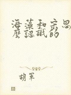 海藻和宋思明怎么认识的