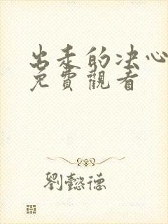 出走的决心完整免费观看封面