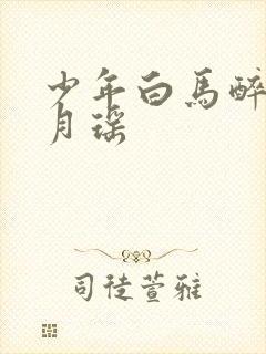 少年白马醉春风月瑶封面