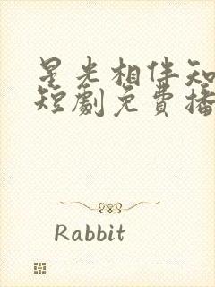 星光相伴知我意短剧免费播放