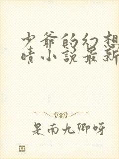 少爷的幻想全婉晴小说最新章节列表