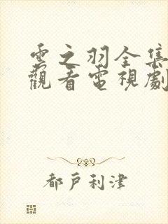 云之羽全集免费观看电视剧