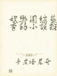 娱乐圈综艺真人秀的小说推荐