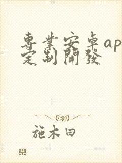 专业安卓app定制开发封面