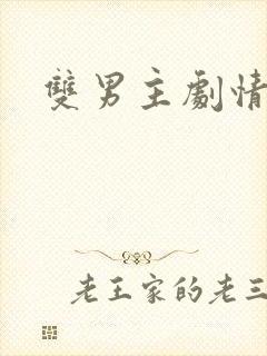 双男主剧情电影