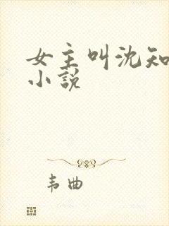 女主叫沈知南的小说封面