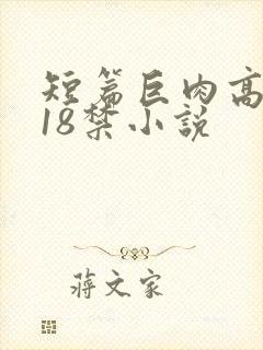 短篇巨肉高h文18禁小说