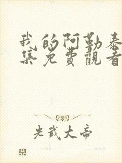 我的阿勒泰第9集免费观看封面