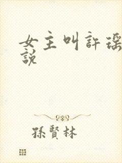 女主叫许瑶的小说封面