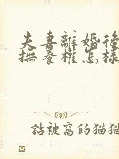 夫妻离婚后孩子抚养权怎样判