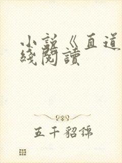 小说《直道》在线阅读