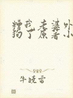 糟我老婆外面有狗了原著小说叫什么封面