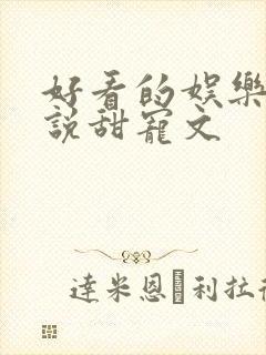 好看的娱乐圈小说甜宠文