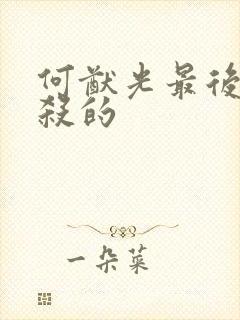 何猷光最后被谁杀的