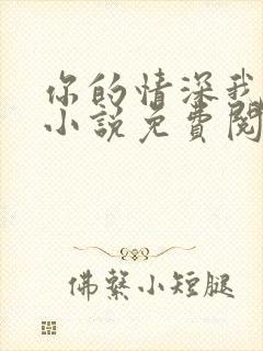 你的情深我不配小说免费阅读封面