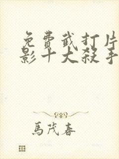 免费武打片老电影十大杀手封面