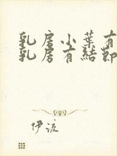 乳房小叶有增生乳房有结节