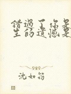 错过了你是我一生的遗憾是什么歌