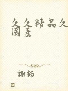 久久精品久久久国产