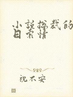 小说总裁的33日索情