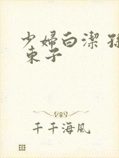 少妇白洁 孙倩 东子封面