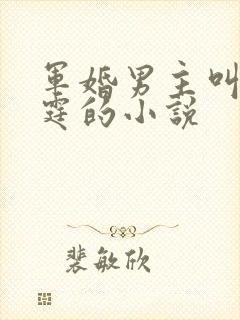 军婚男主叫霍北霆的小说