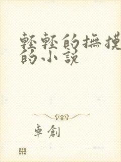轻轻的抚摸乳房的小说