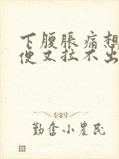 下腹胀痛想拉大便又拉不出来难受