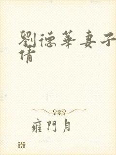 刘德华妻子朱丽倩