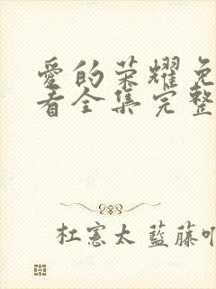 爱的荣耀免费观看全集完整版封面