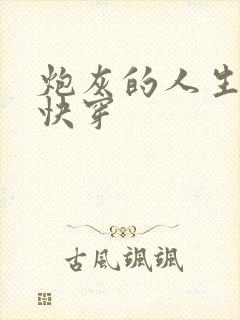 炮灰的人生2(快穿封面