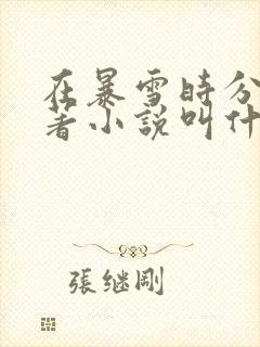 在暴雪时分的原著小说叫什么