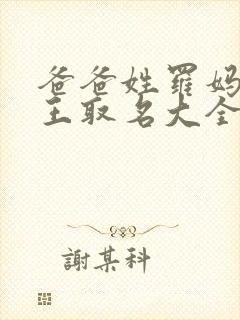 爸爸姓罗妈妈姓王取名大全