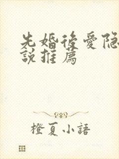 先婚后爱隐婚小说推荐封面