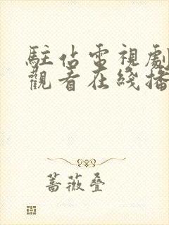 驻站电视剧免费观看在线播放