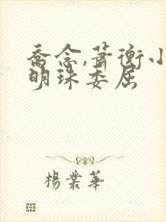 乔念,萧衡小说明珠委屈封面