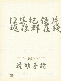 12集纪录片重返狼群在线观看封面