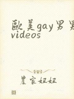 欧美gay男男videos